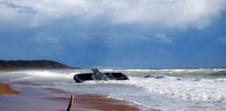 Study Finds that Green Spaces Make Kids Smarter